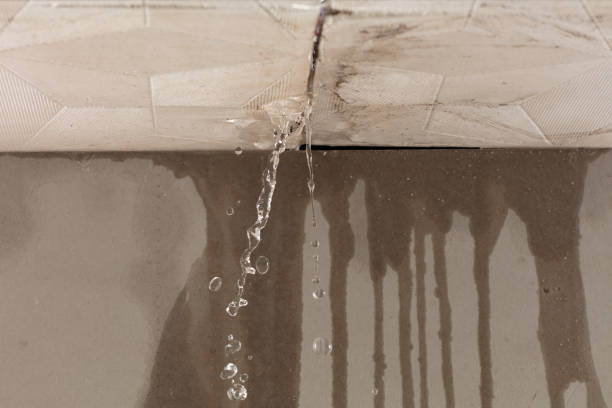 Professional Burst Pipe Cleanup technician working in Lagrange, ME